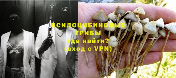 ГАЛЛЮЦИНОГЕННЫЕ ГРИБЫ Переславль-Залесский