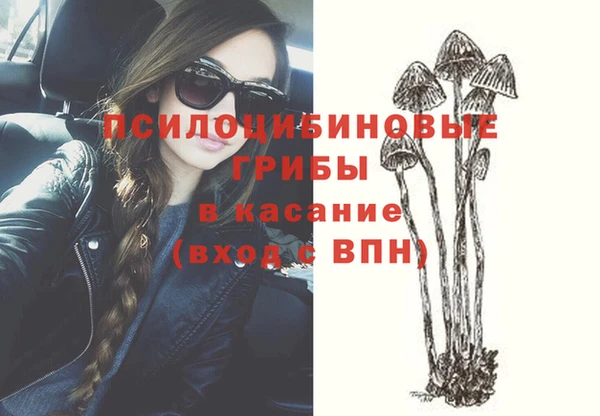 мяу мяу кристалл Арсеньев
