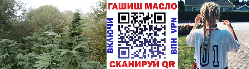 наркотики  mega ТОР  Дистиллят ТГК Wax  Бавлы 