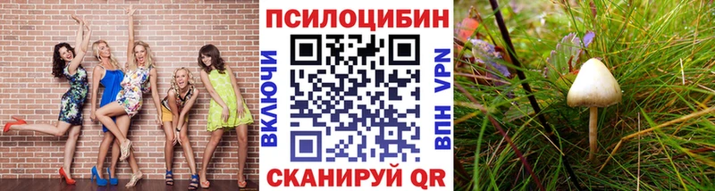 Псилоцибиновые грибы мицелий  Бавлы 